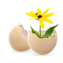 �ް��̹���