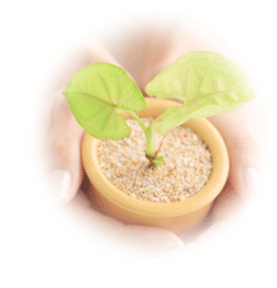 �����̹���